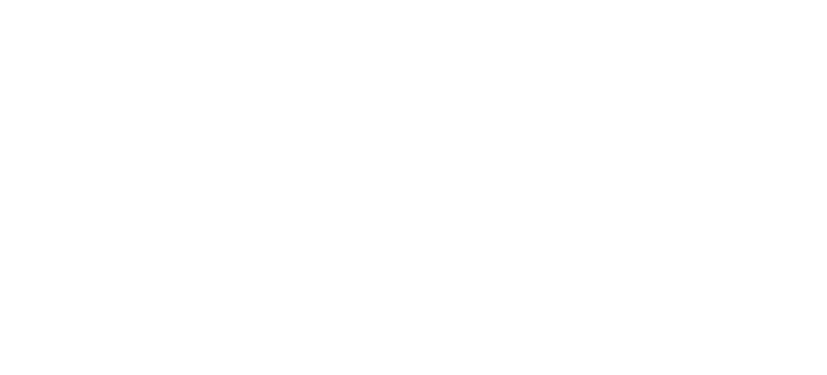 Descripcion del inicio